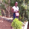 Kerine Beacky