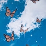 Theresa Katin
