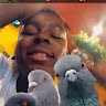 US_Haro 23