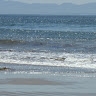 Jesse Gargiulo