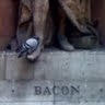 Sarah Bacon
