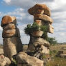 forbes mugumbate