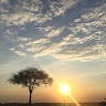wanjiku muhoho