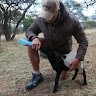 Louis Botha