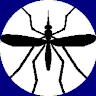 Ирина Комарова