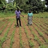 Michael Baguma