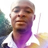 ALONGE FESTUS