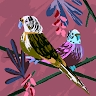 uwikunda solange