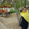 Farzane Hamedi