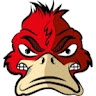 RedDuck Software  