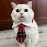 Алексей Борисов