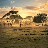Nicholas Kipkorir