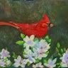 Ann Yocum