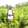 Gbènoukpo Augustin SODJINOU