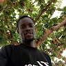 Adeshina Joshua