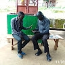 Godfrey Amani