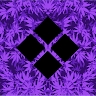 TRIPLEIGHT NETWORK