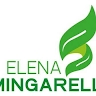 Studio Forestale Mingarelli  
