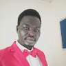 logyel johnsonic