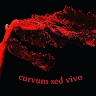 Roberto Crinò - Poesia e Musica