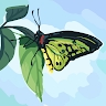 Love Butterfly