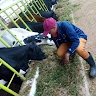Ssekibaala Shafieq