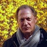 Giuseppe Bea