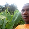 Aboubacar Diakite