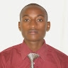 twagiramungu serge