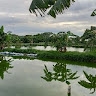 Panganani Njobvu