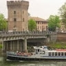 stella iacona
