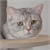></a>
                                        <a href=