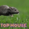 ToP MoUsE