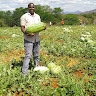 Erastus Katiwa