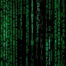 Programmer Naj