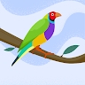 Fatai Falepapalangi