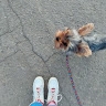 Ольга Воловод