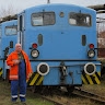 Mohácsi Sándor