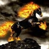 SIDDU R