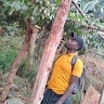 Kauta Hillary