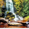 Nile Stream