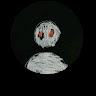 simo_exe  