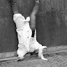 Valentina Panova