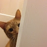 Kim Seals
