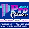 THE EXPERT WRITERS