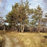 Anatoliy Malyshevskiy