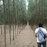 SATHISH S