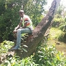 toyo adade