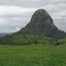 Bireda Alemayehu