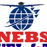 Nebs Consult